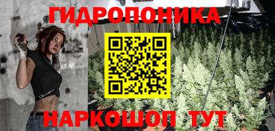 прущие грибы Старая Купавна