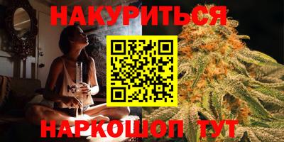 крисы Славгород